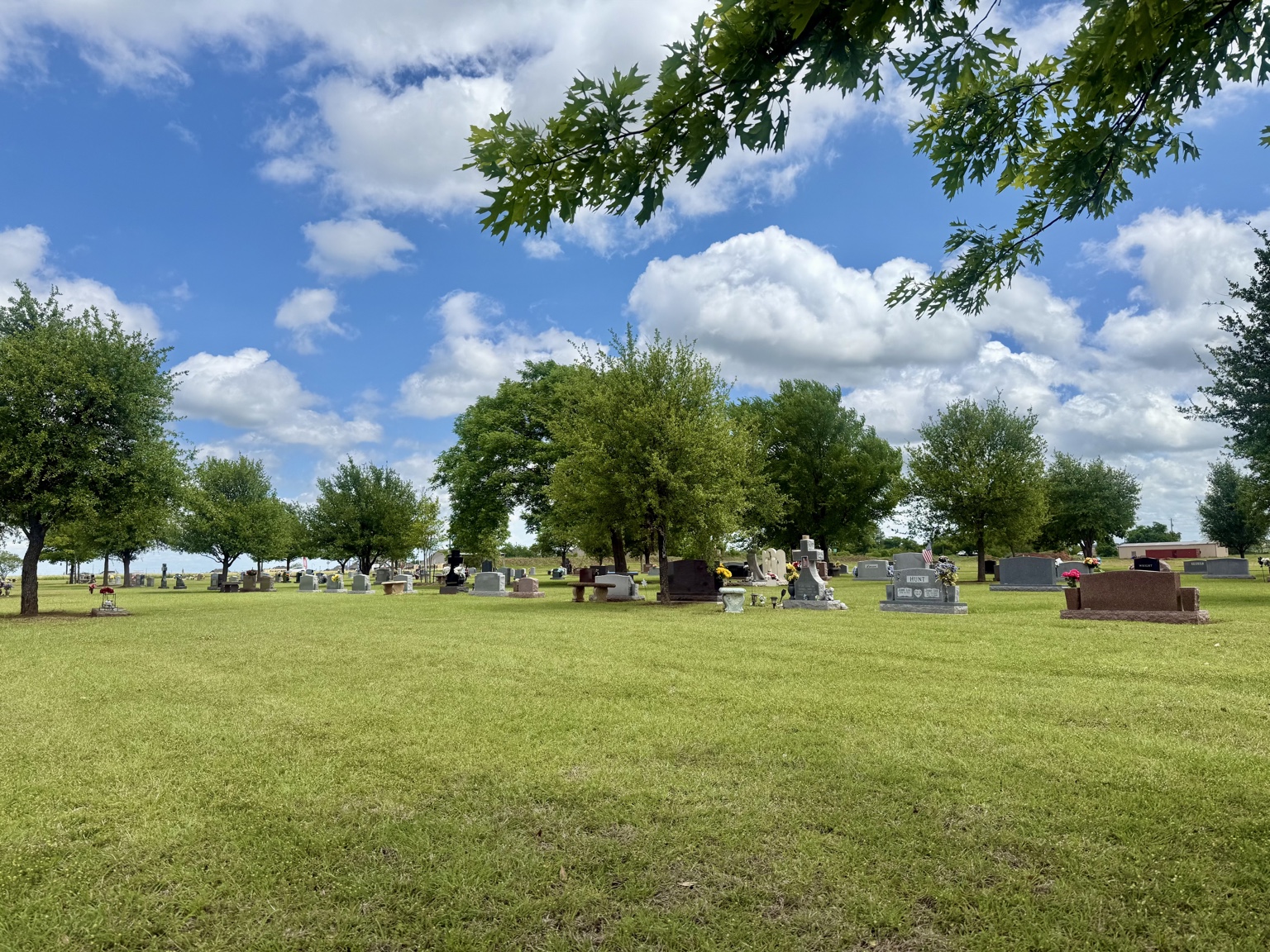 Open garden and memorial spaces at Holly Hills Memorial Park